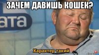 зачем давишь кошек? 