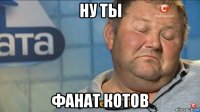 ну ты фанат котов