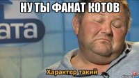 ну ты фанат котов 