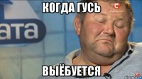 когда гусь выёбуется