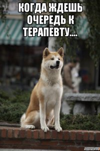 когда ждешь очередь к терапевту.... 