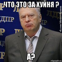 что это за хуйня ? а?