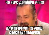 чо курс доллара ???!!! да мне пофиг !!! усищ. спасе булльбачка