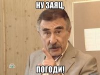 ну заяц, погоди!