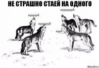 не страшно стаей на одного