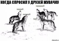 Когда спросил у друзей жувачку