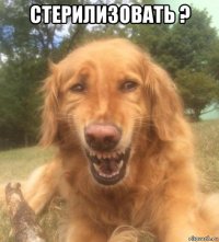 стерилизовать ? 