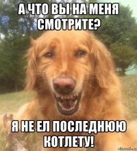 а что вы на меня смотрите? я не ел последнюю котлету!