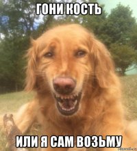 гони кость или я сам возьму