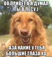 оо привет а я думал ты в лесу:) -аза какие у тебя большие глаза xd