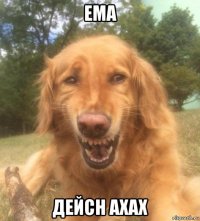 ема дейсн ахах