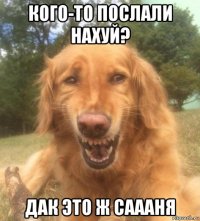 кого-то послали нахуй? дак это ж саааня