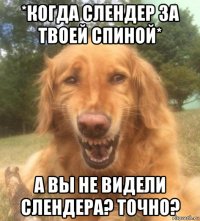 *когда слендер за твоей спиной* а вы не видели слендера? точно?