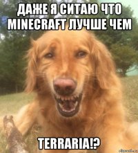 даже я ситаю что minecraft лучше чем terraria!?