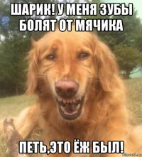 шарик! у меня зубы болят от мячика петь,это ёж был!