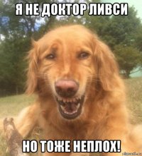 я не доктор ливси но тоже неплох!