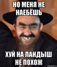 но меня не наебёшь хуй на ландыш не похож