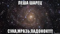 леша шарец сука,мразь,падонок!!!!