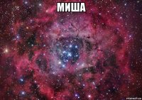 миша 