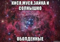 кися,муся,зайка и солнышко оболденные