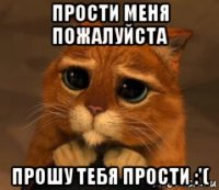 прости меня пожалуйста прошу тебя прости :'(