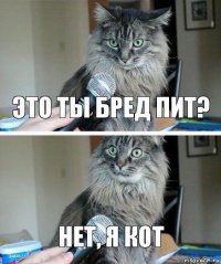 это ты бред пит? нет, я кот