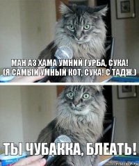 Ман аз хама умний гурба, сука!
(Я самый умный кот, сука! с тадж.) Ты Чубакка, блеать!