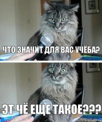 что значит для вас учёба? эт чё еще такое???