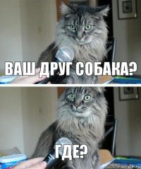 Ваш друг собака? Где?