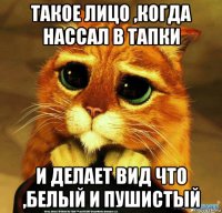 такое лицо ,когда нассал в тапки и делает вид что ,белый и пушистый