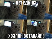 нет еды!!? хозяин вставай!!!