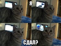 я сдал?