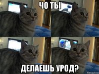 чо ты делаешь урод?