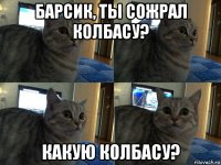 барсик, ты сожрал колбасу? какую колбасу?