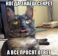 когда знаеш секрет а все просят ответ