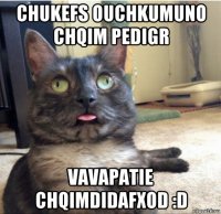 chukefs ouchkumuno chqim pedigr vavapatie chqimdidafxod :d