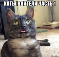 коты воители часть 1 