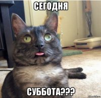 сегодня суббота???