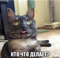  кто что делает?