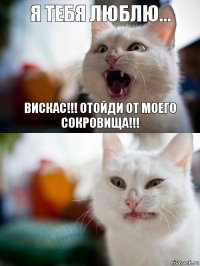 Я тебя люблю... Вискас!!! Отойди от моего сокровища!!!