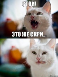 СТОЙ! ЭТО ЖЕ СКРИ...