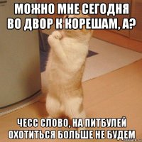 можно мне сегодня во двор к корешам, а? чесс слово, на питбулей охотиться больше не будем