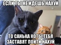 если ты не идешь нахуй то санька коты тебя заставят пойти нахуй