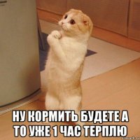  ну кормить будете а то уже 1 час терплю