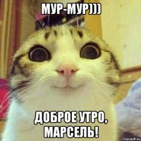 мур-мур))) доброе утро, марсель!