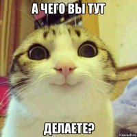 а чего вы тут делаете?