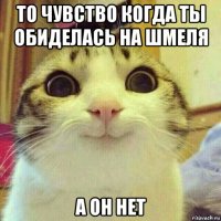 то чувство когда ты обиделась на шмеля а он нет