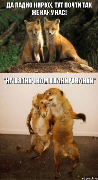 Да ладно Кирюх, тут почти так же как у нас! *на пятничном планировании*