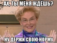 ах, ты меня ждёшь? ну держи свою норму