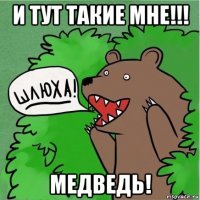 и тут такие мне!!! медведь!